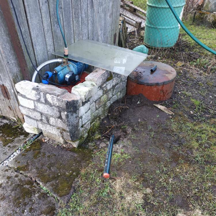 Neaizaugoša ūdens spice