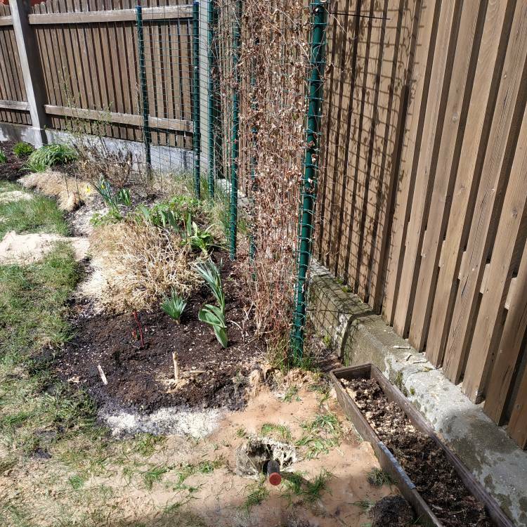 Spices uzstādīšanas izmaksas